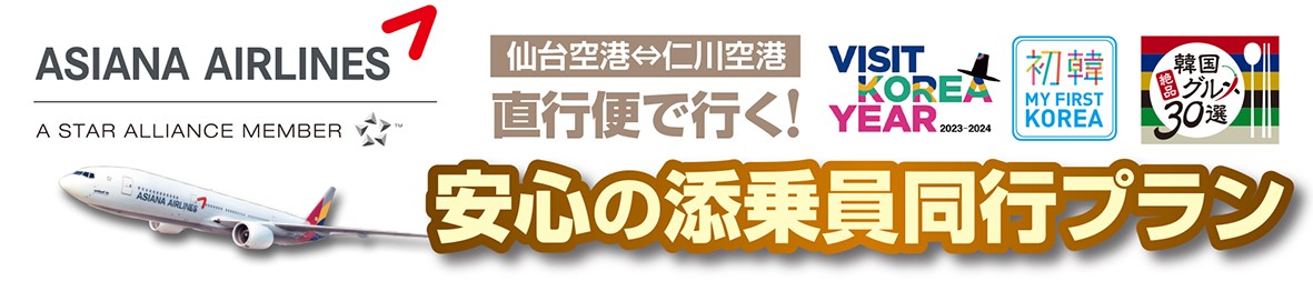 仙台空港発着　おまかせ！ソウル