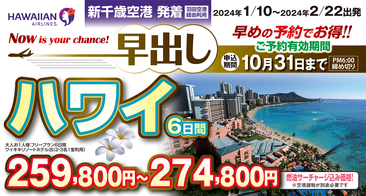 1月～2月限定！