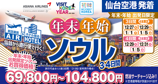 出発日限定♪年末年始はソウルで過ごそう！本場韓国料理を食べにいこう