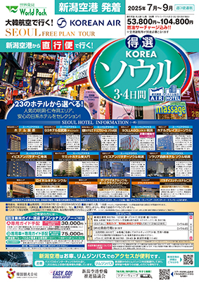 新潟空港発着 大韓航空
得選ソウル
３日間
