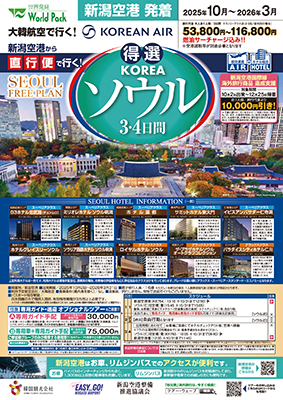 新潟空港発着 大韓航空
得選ソウル
３日間
